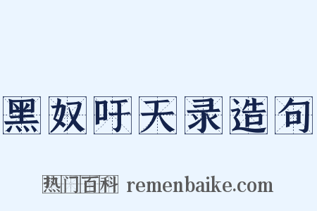 黑奴吁天录造句是什么意思的图片